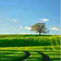 高‌效﻿网​站‍审﻿计‌插​件‍下﻿载‍安﻿装‍